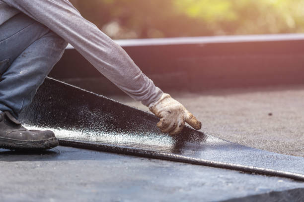 Professional Interior Drainage System technician working in Bergenfield, NJ